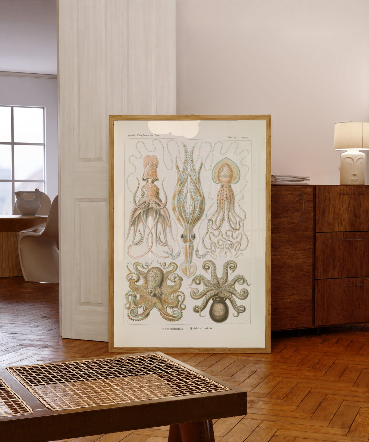 Framed art print of Kunstformen der Natur, Plate 54: Gamochonia by Ernst Haeckel, in a light wood frame leaning in a warm room with a parquet floor