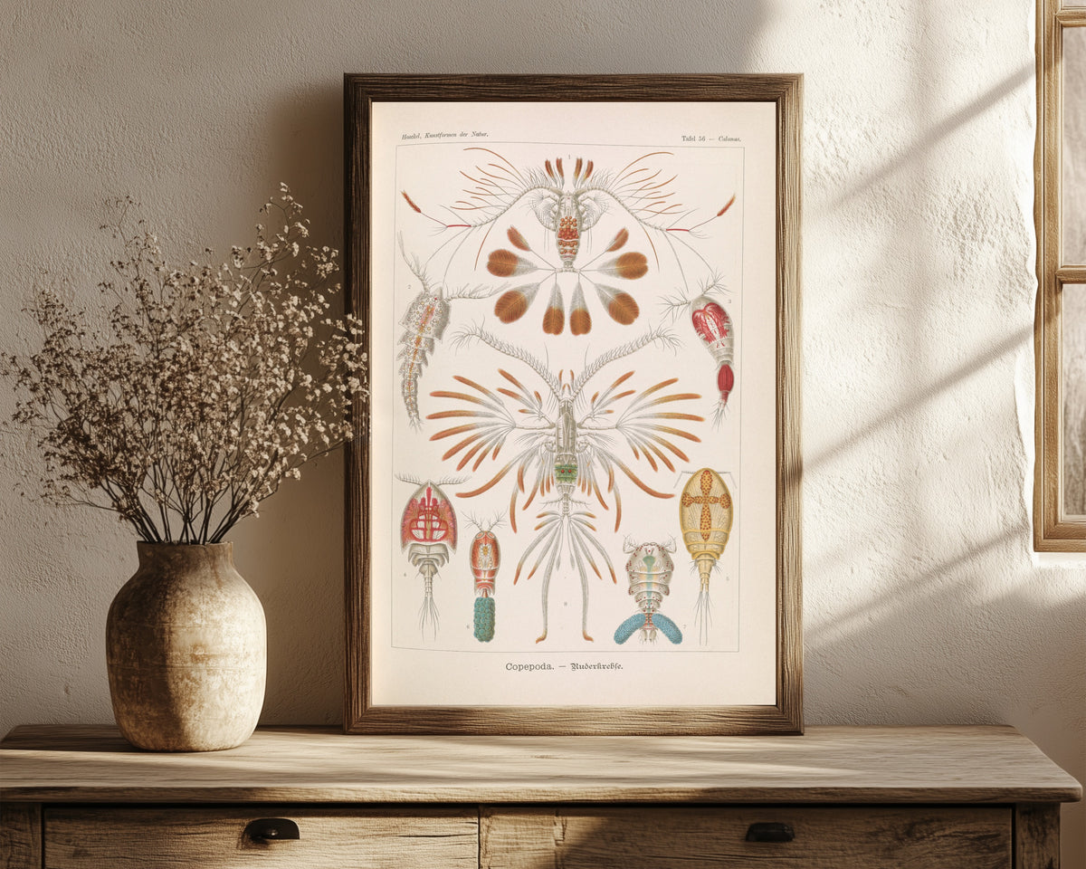 Framed art print of Kunstformen der Natur, Plate 56: Copepoda by Ernst Haeckel, in a dark wood frame leaning on a rustic console beside dried flowers