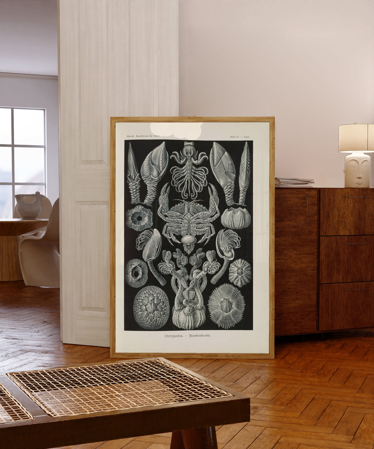 Framed art print of Kunstformen der Natur, Plate 57: Cirripedia by Ernst Haeckel, in a light wood frame leaning in a warm room with a parquet floor