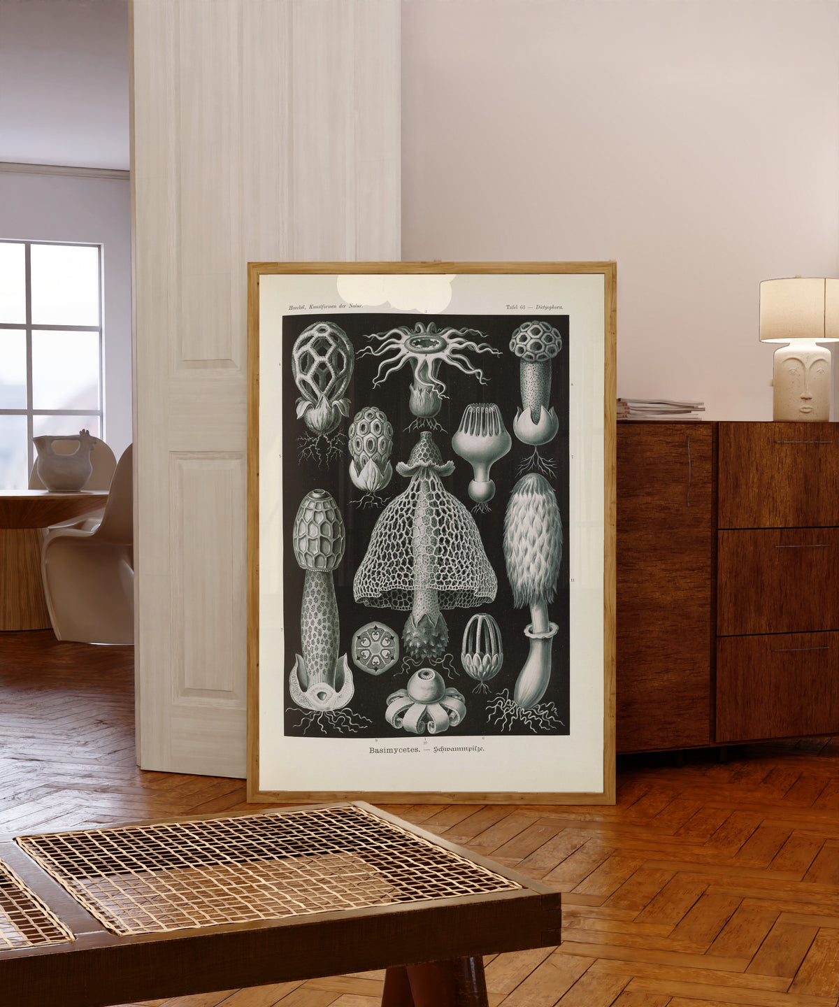 Framed art print of Kunstformen der Natur, Plate 63: Basimycetes by Ernst Haeckel, in a light wood frame leaning in a warm room with a parquet floor