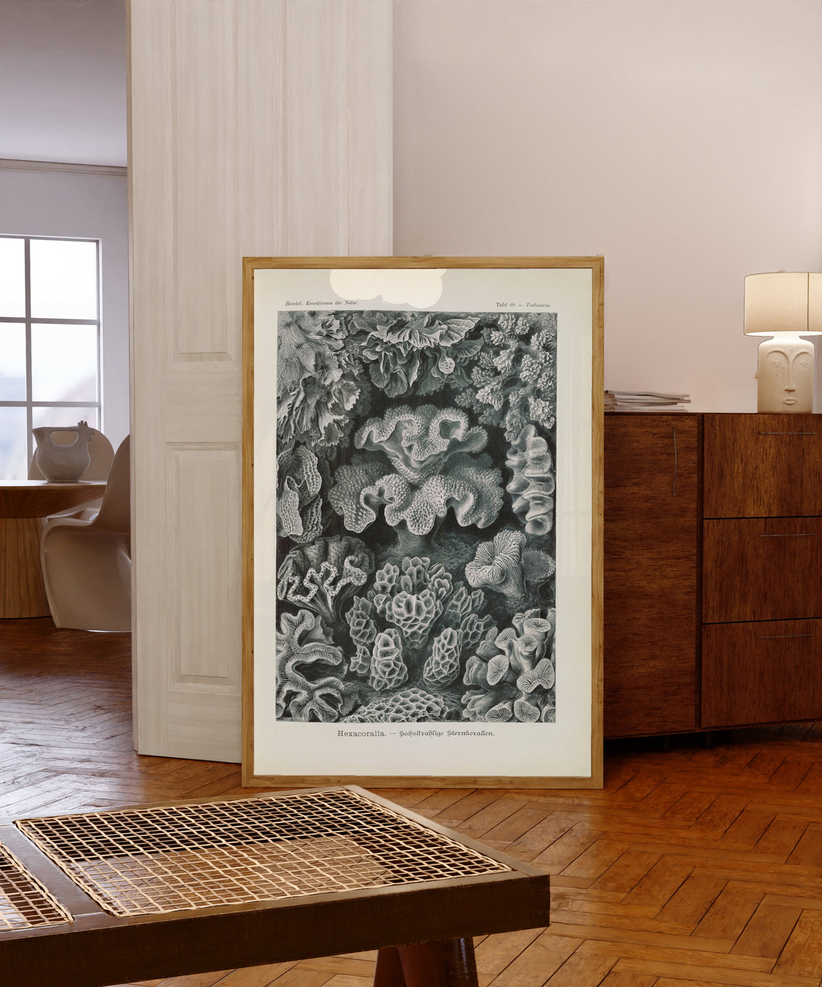 Framed art print of Kunstformen der Natur, Plate 69: Hexacoralla by Ernst Haeckel, in a light wood frame leaning in a warm room with a parquet floor