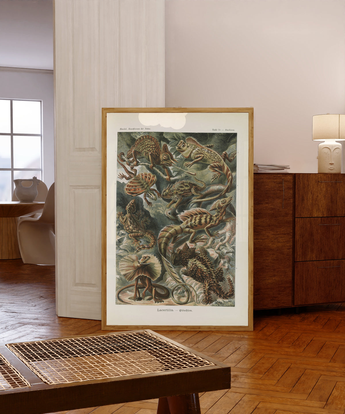 Framed art print of Kunstformen der Natur, Plate 79: Lacertilia by Ernst Haeckel, in a light wood frame leaning in a warm room with a parquet floor