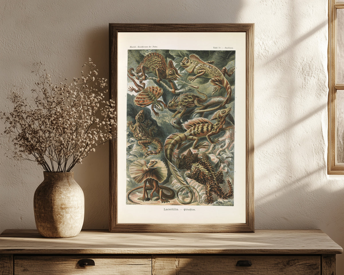 Framed art print of Kunstformen der Natur, Plate 79: Lacertilia by Ernst Haeckel, in a dark wood frame leaning on a rustic console beside dried flowers