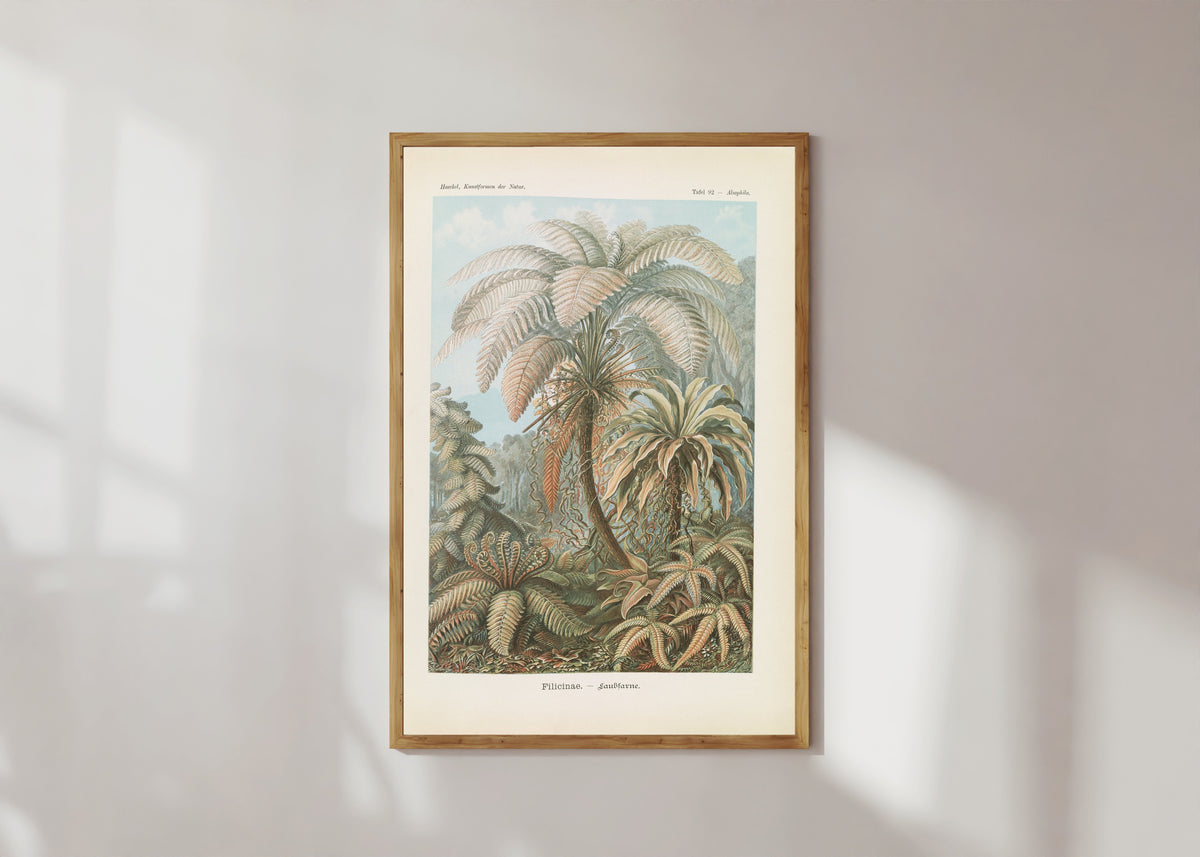 Framed art print of Kunstformen der Natur, Plate 92: Filicinae by Ernst Haeckel, in a light wood frame on a sunlit white wall