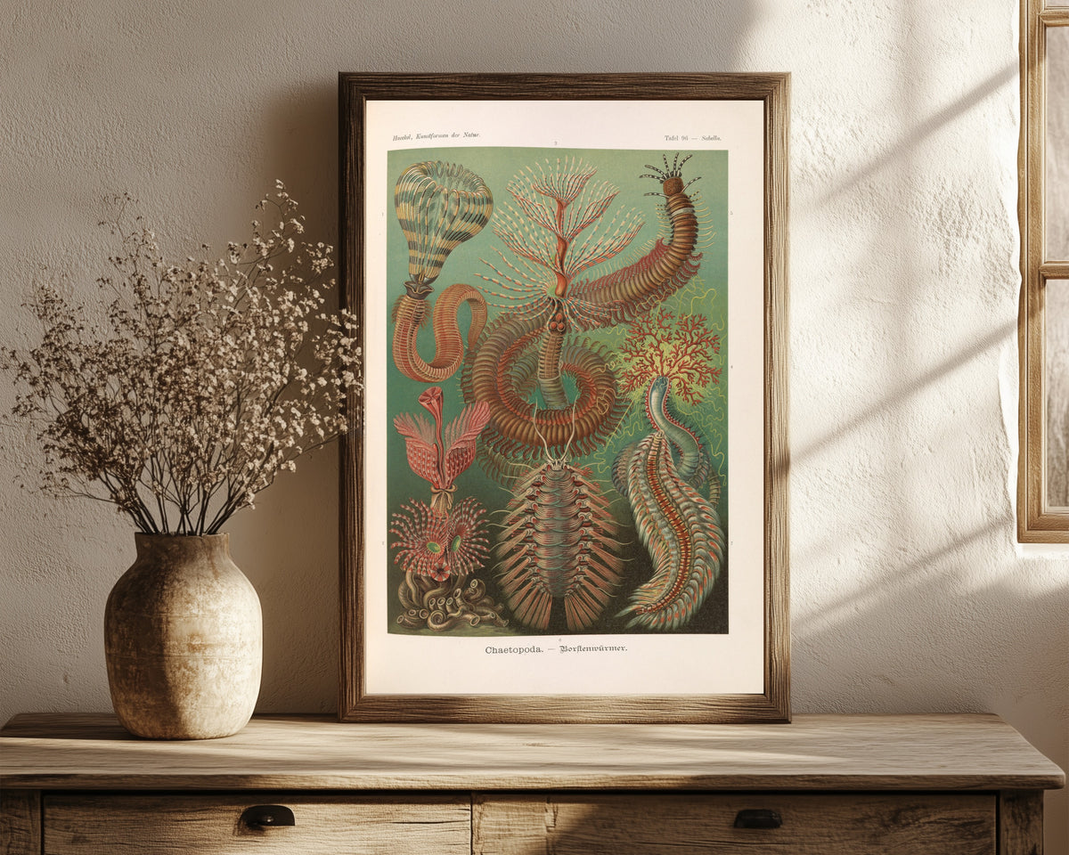 Framed art print of Kunstformen der Natur, Plate 96: Chaetopoda by Ernst Haeckel, in a dark wood frame leaning on a rustic console beside dried flowers