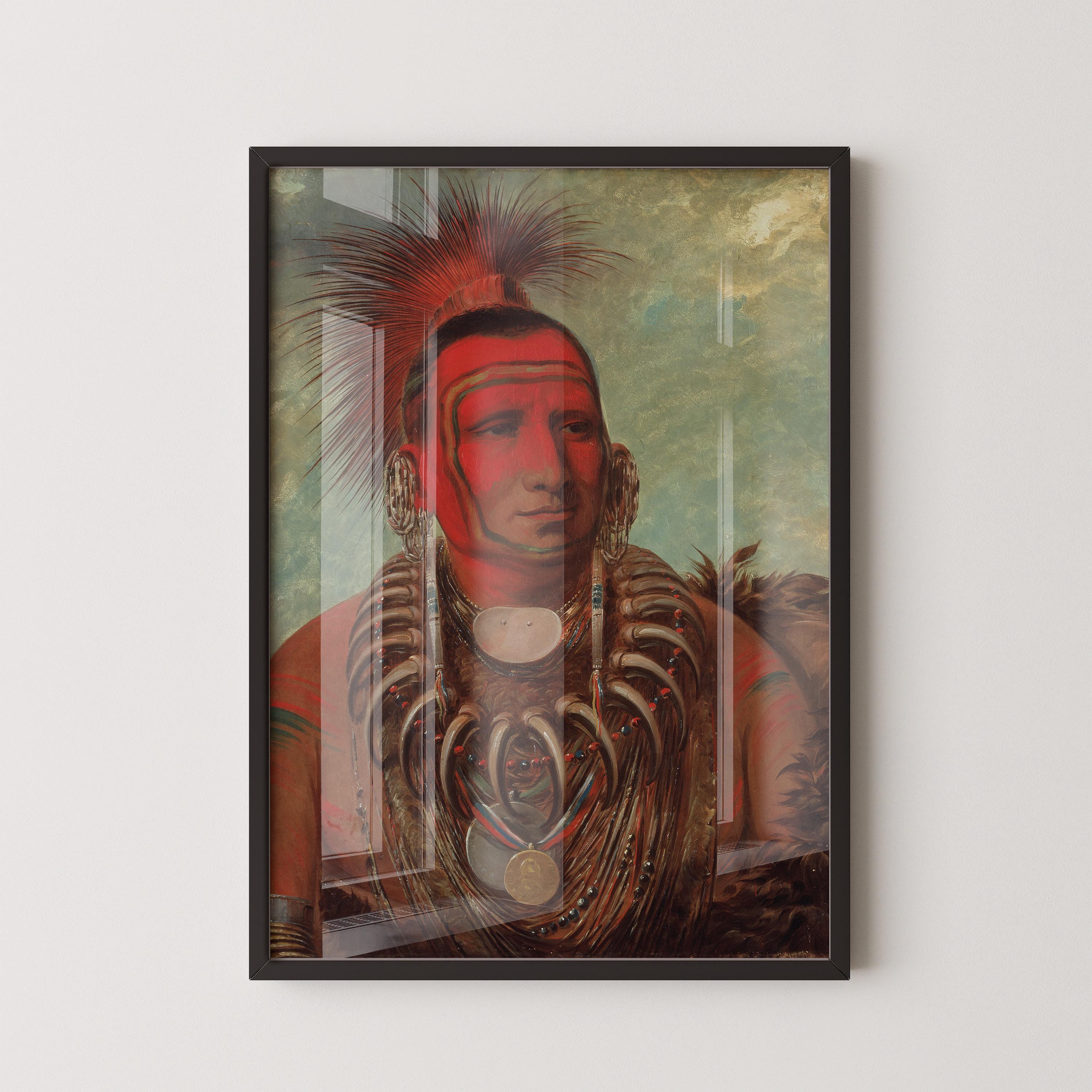 George Catlin - Little Wolf Shon Ta Yi Ga | Famous Native American Aboriginal First Nations Art - 9ArtPrints