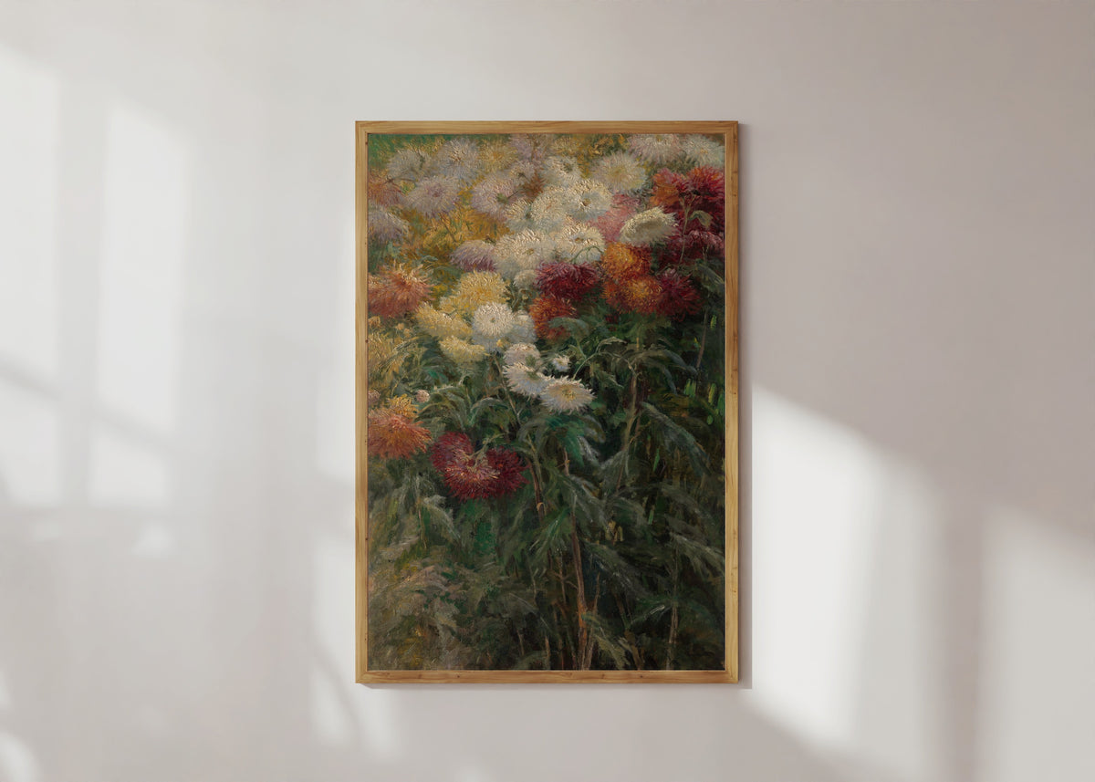 Framed art print of Chrysanthemums in the Garden at Petit-Gennevilliers by Gustave Caillebotte, in a light wood frame on a sunlit white wall