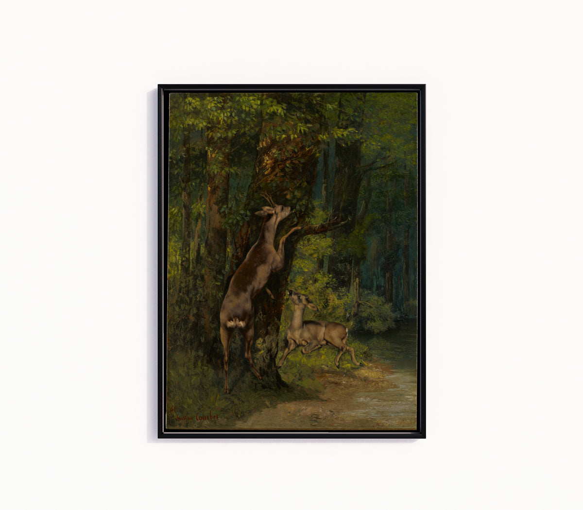 Framed art print of Deer in the Forest by Gustave Courbet, in a slim black frame on a plain white wall