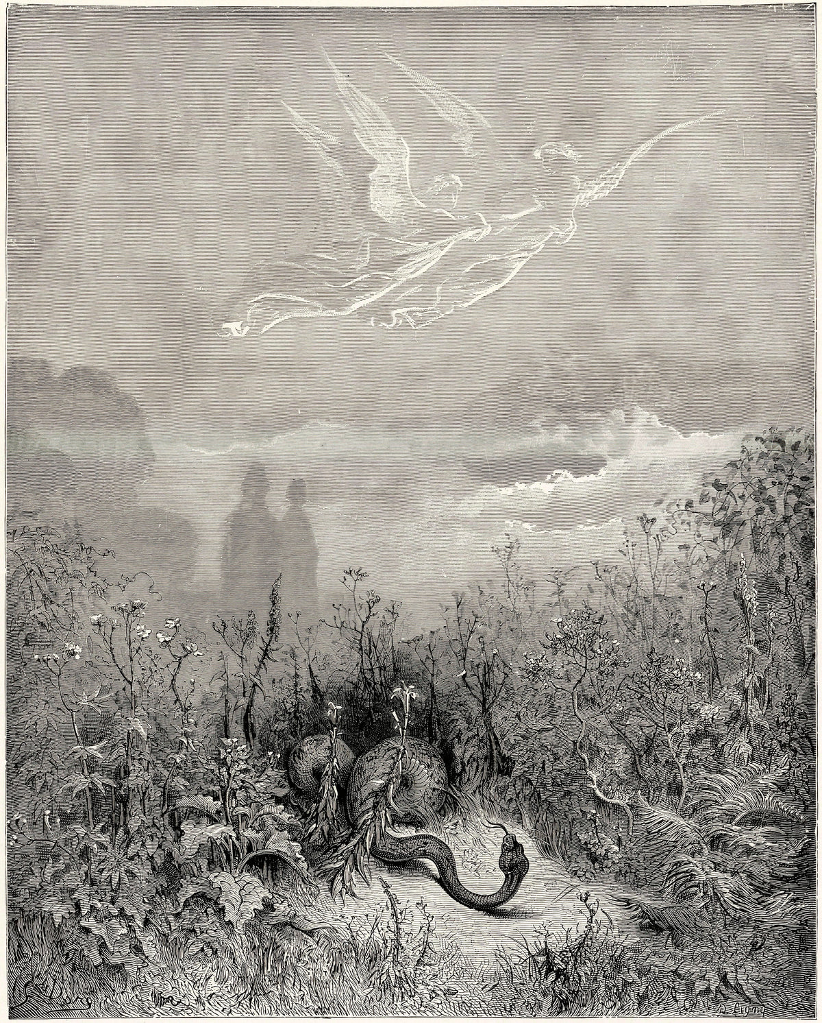 Gustave Doré — Purgatorio, Canto VIII: The Serpent Fled | Dante Illustration Print - 9ArtPrints