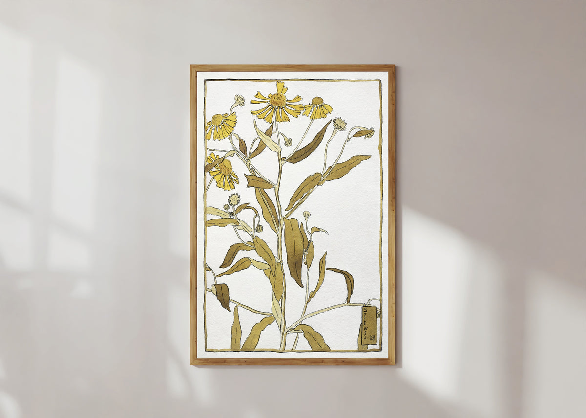 Framed art print of Sneeze Weed by Hannah Borger Overbeck, in a light wood frame on a sunlit white wall