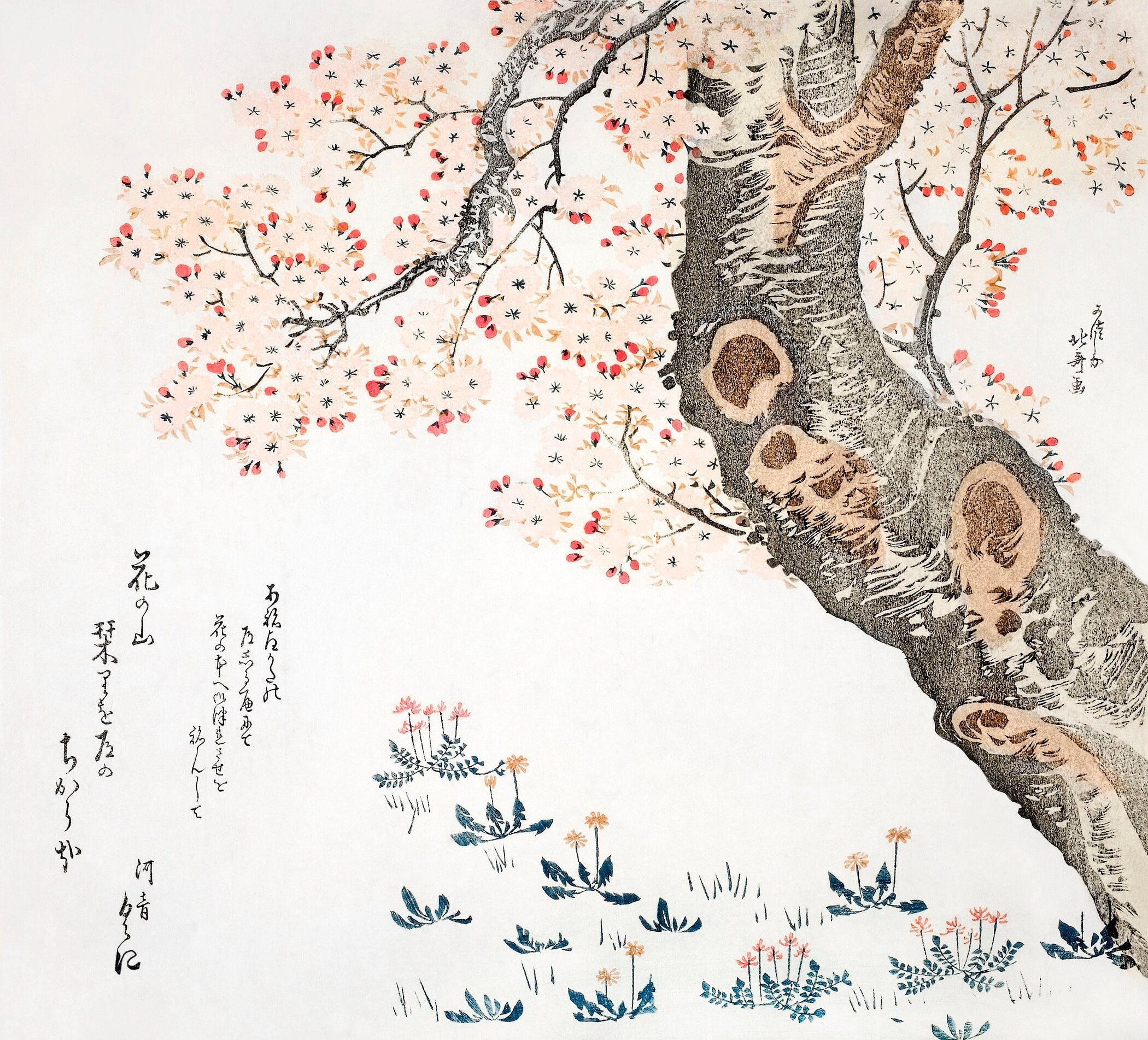 Hokusai Cherry Blossoms Print: Vintage Japanese Art, Giclee Fine Art (1x1) - 9ArtPrints