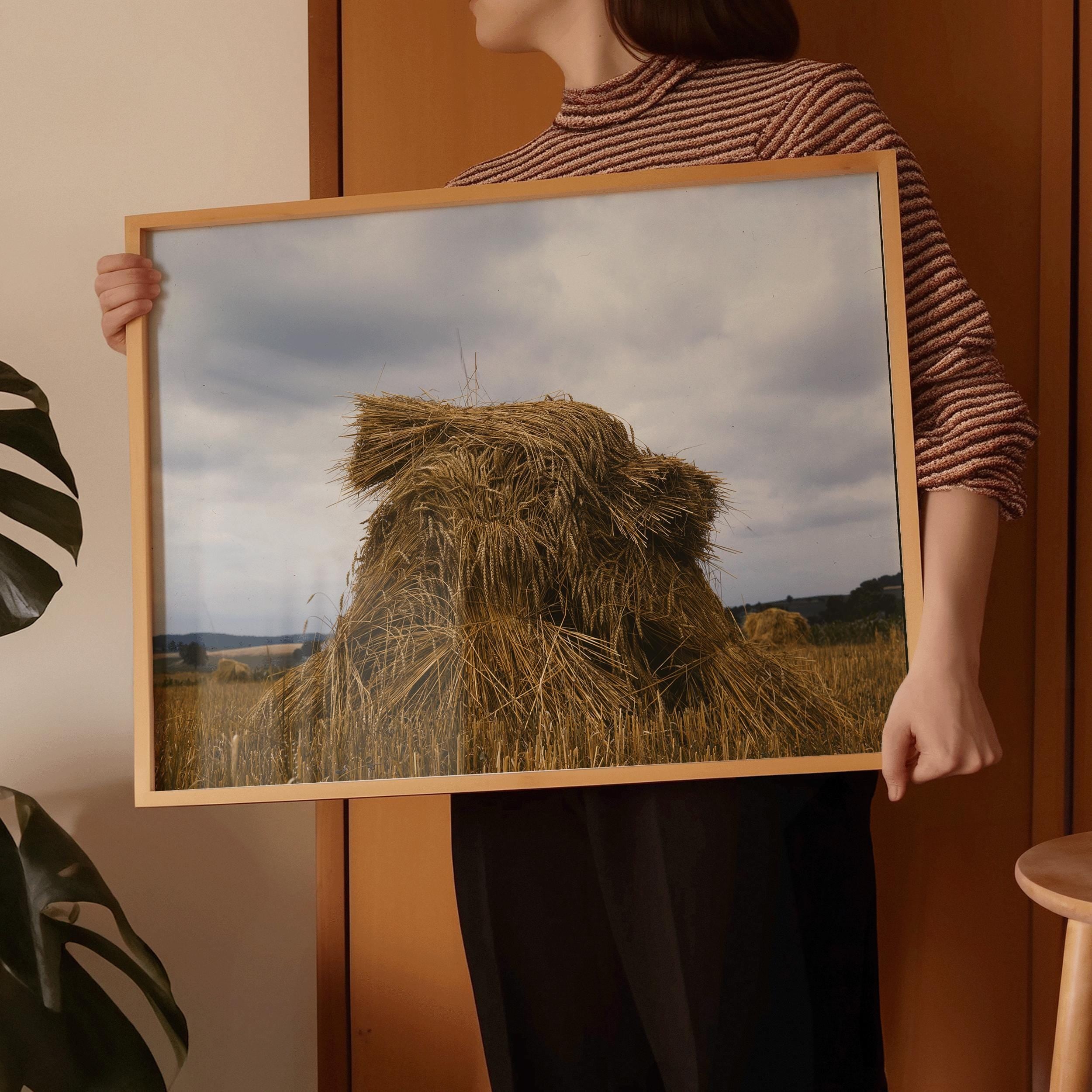 Wheat, Pennsylvania : Famous Color Vintage Photograph Giclée Print