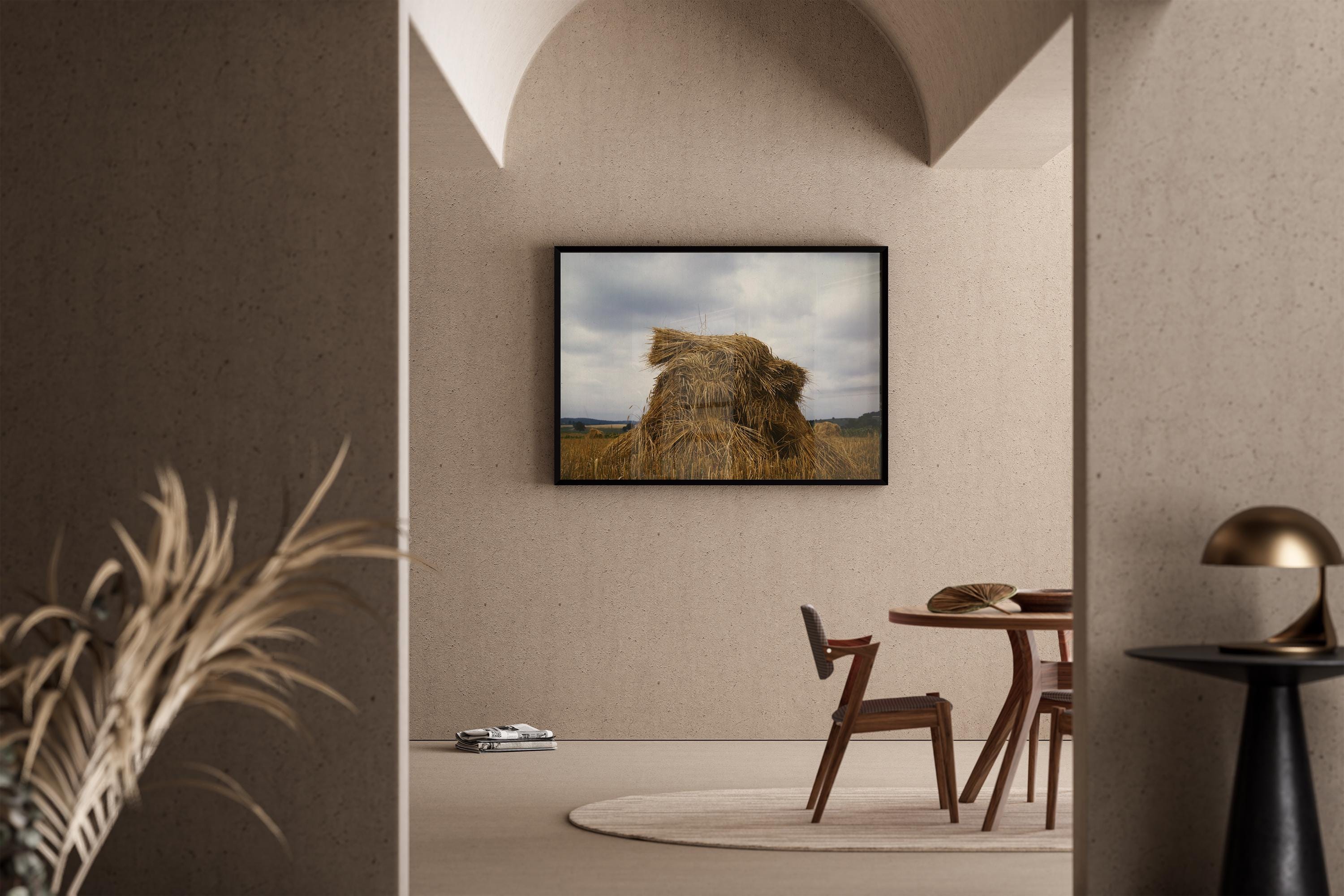 Wheat, Pennsylvania : Famous Color Vintage Photograph Giclée Print