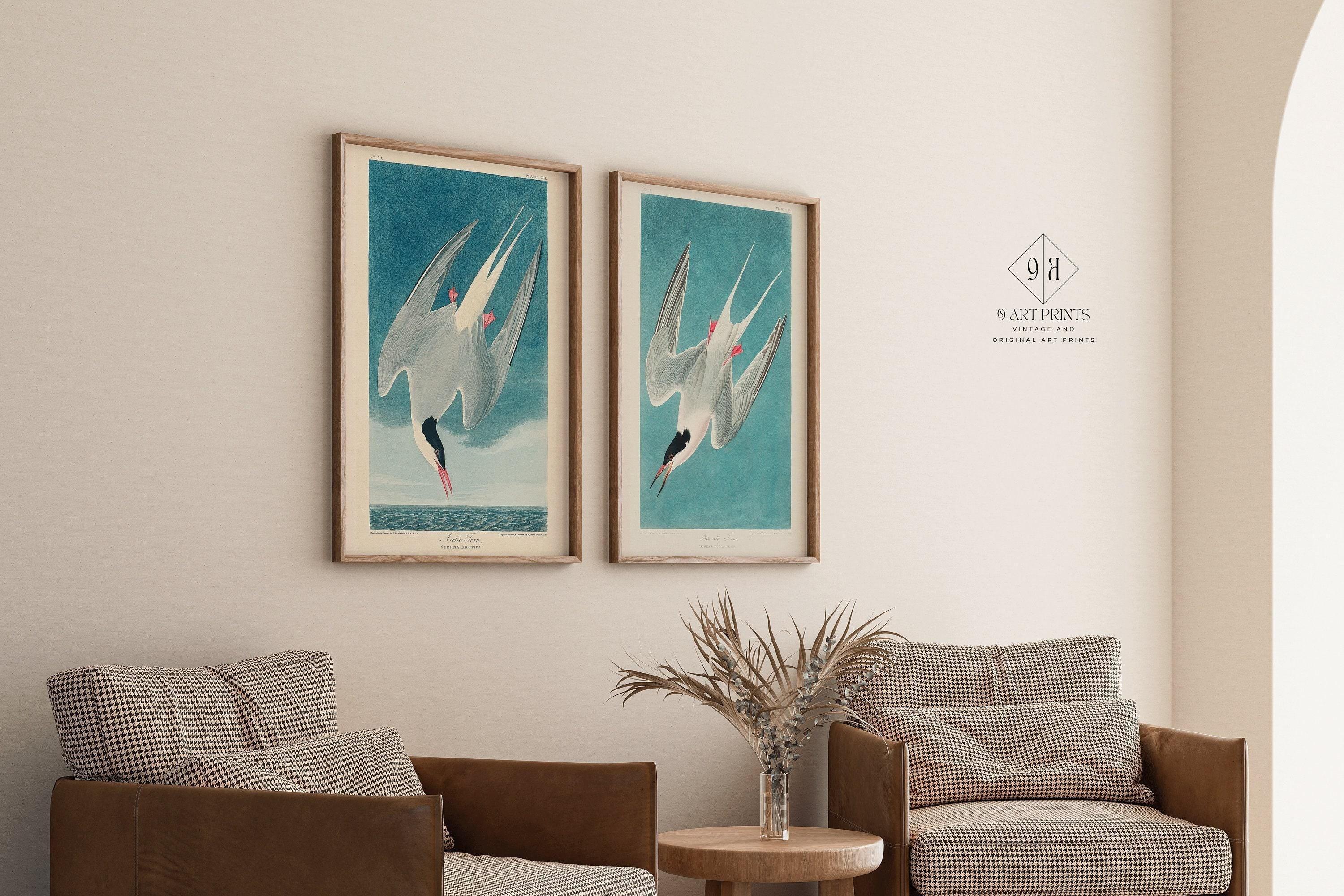J. J. Audubon STATEMENT DUO Bird Prints - Greater Tern | | available framed - 9ArtPrints