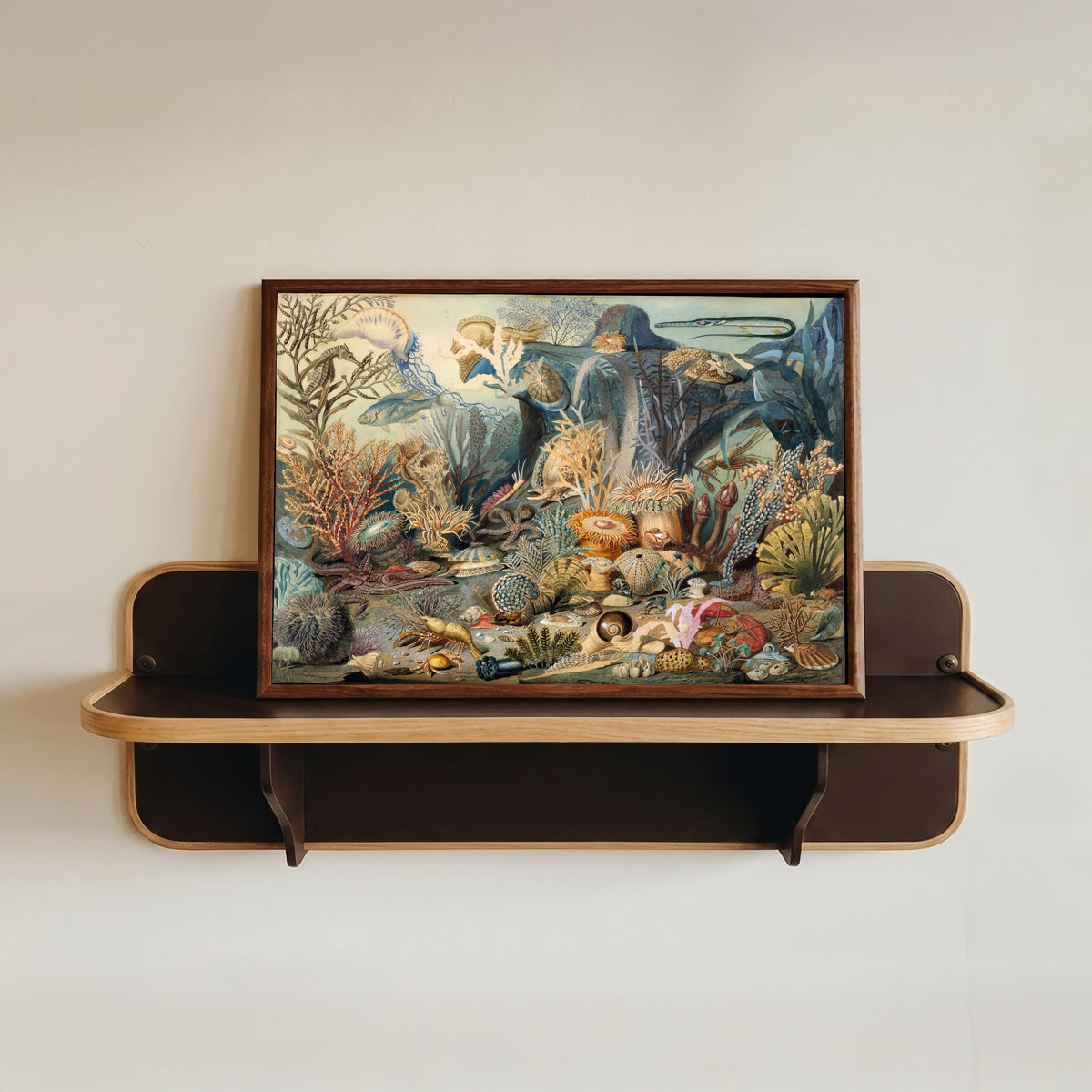 Framed art print of Ocean Life by James M. Somerville, in a dark wood frame resting on a wall shelf