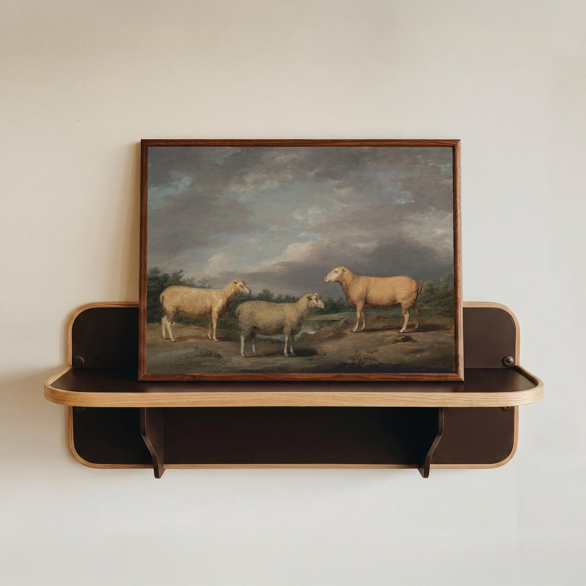 Framed art print of Ryelands Sheep by James Ward, in a dark wood frame resting on a wall shelf
