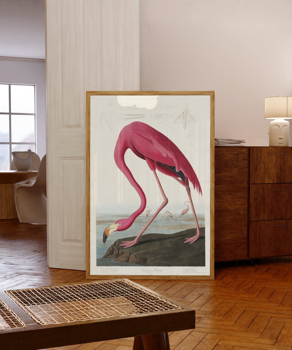 Framed art print of American Flamingo by John James Audubon, in a light wood frame leaning in a warm room with a parquet floor