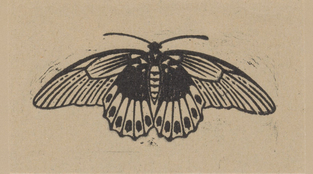 Moth by Julie de Graag — A symmetrical moth spreads wings patterned with dark eyespots