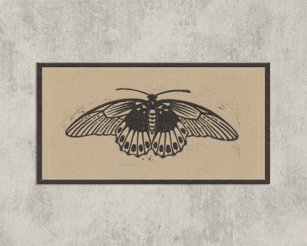 Moth by Julie de Graag — in a wide black frame on a concrete wall