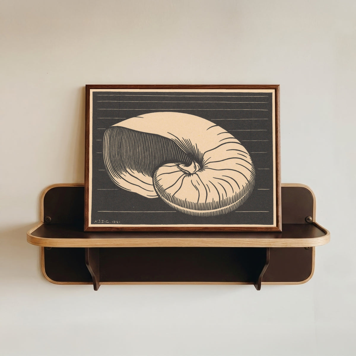 Framed art print of Nautilus Shell by Julie de Graag, in a dark wood frame resting on a wall shelf