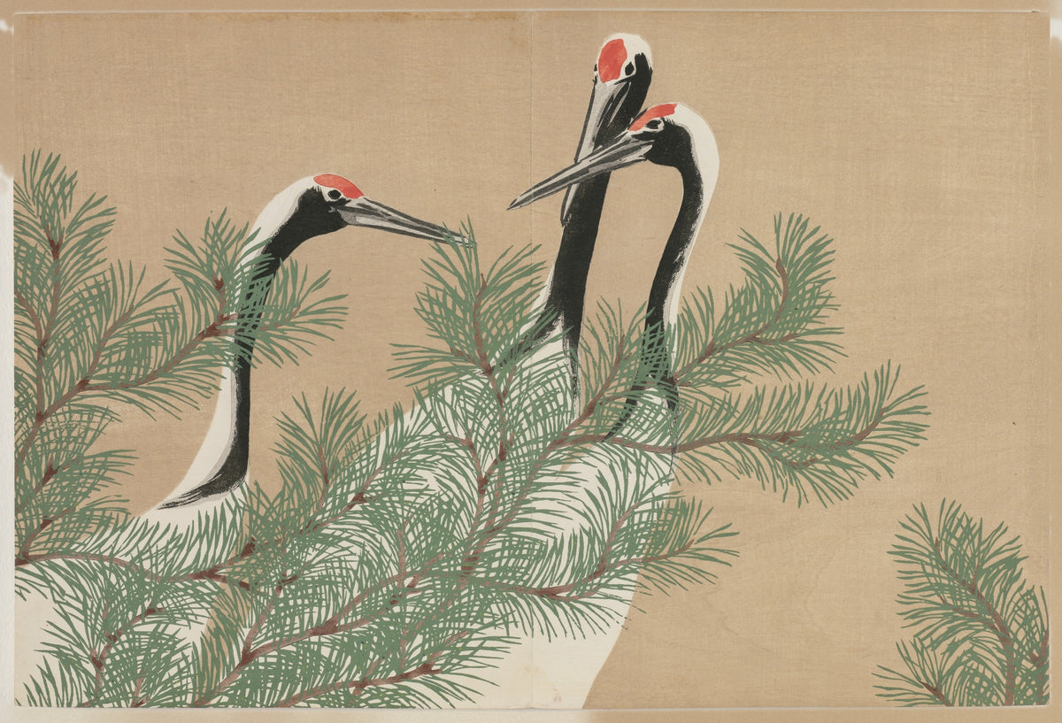 Cranes by Kamisaka Sekka — Three red-crowned cranes gather amid soft green pine needles