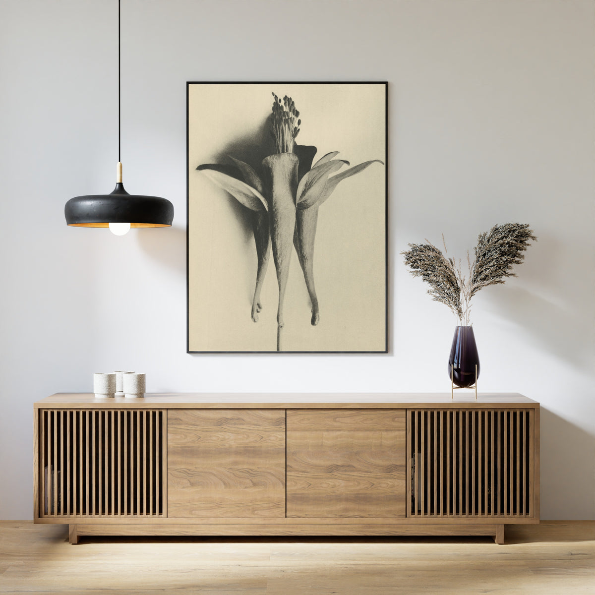 Karl Blossfeldt — Aquilegia chrysantha | Botanical Photograph Print