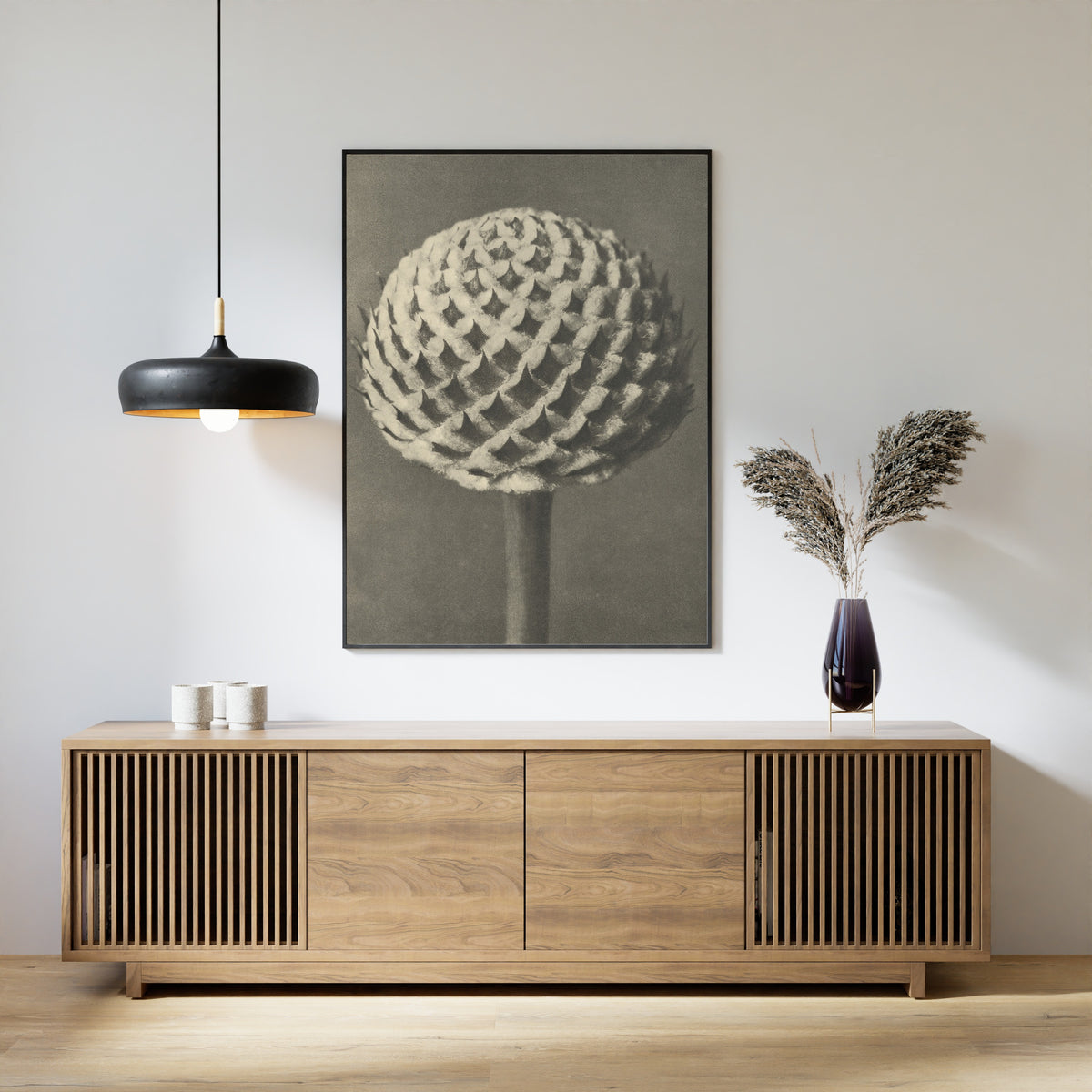 Karl Blossfeldt — Cephalaria | Botanical Photograph Print
