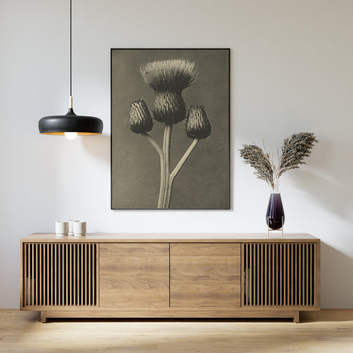 Karl Blossfeldt — Cirsium canum | Botanical Photograph Print