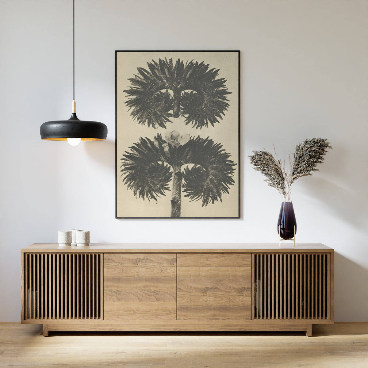 Karl Blossfeldt — Phacelia tanacetifolia | Botanical Photograph Print