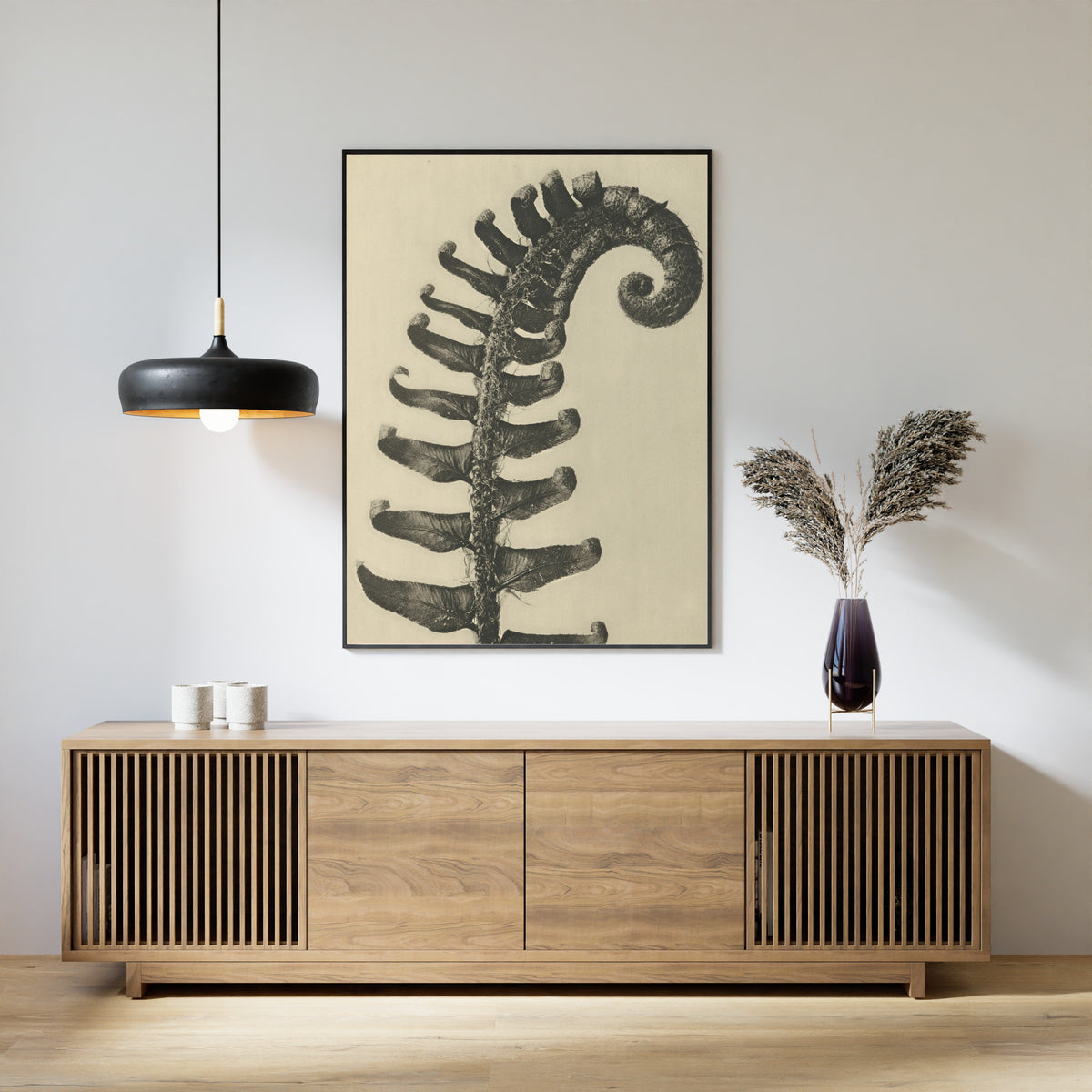 Karl Blossfeldt — Polystichum munitum | Botanical Photograph Print