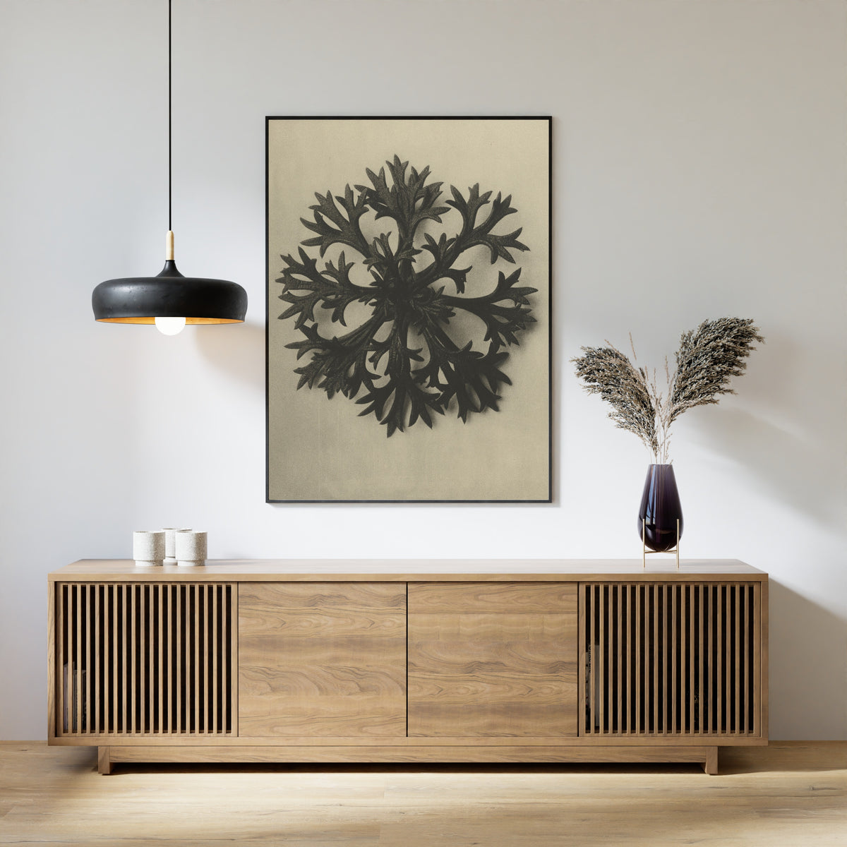 Karl Blossfeldt — Saxifraga Willkommniana | Botanical Photograph Print