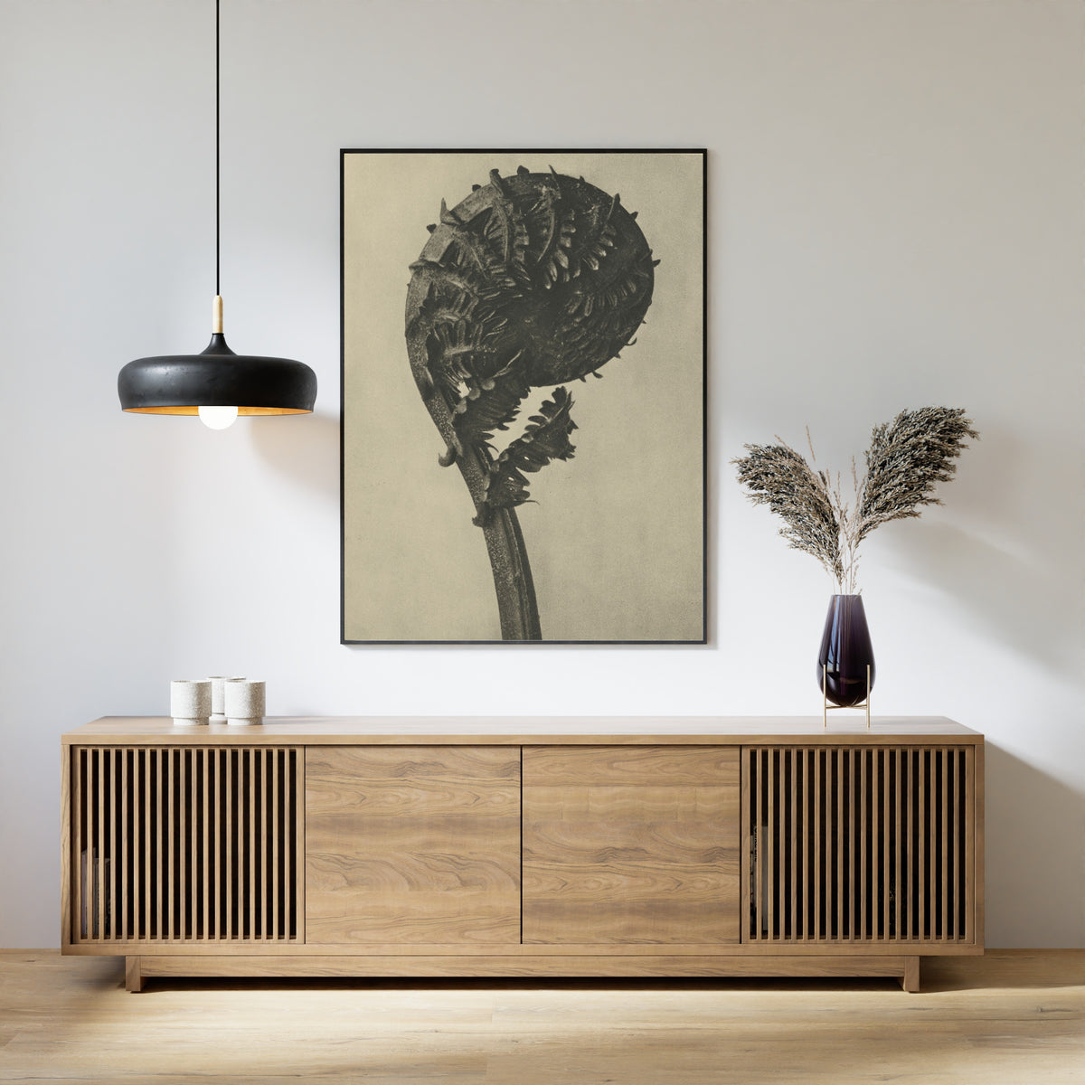 Karl Blossfeldt — Struthiopteris germanica | Botanical Photograph Print