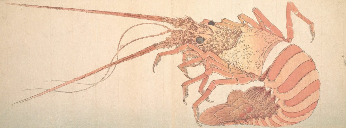 Katsushika Hokusai — Large Lobster | Japanese Woodblock Print (Ukiyo-e)