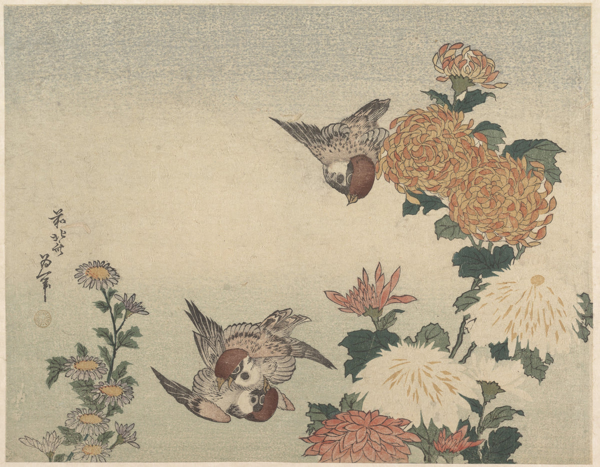 Katsushika Hokusai — Sparrows and Chrysanthemums | Japanese Woodblock Print (Ukiyo-e)