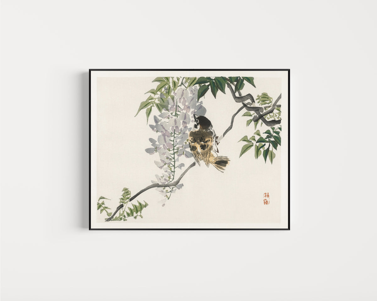 Framed art print of Sparrow on a branch by Kōno Bairei, in a slim black frame on a plain white wall