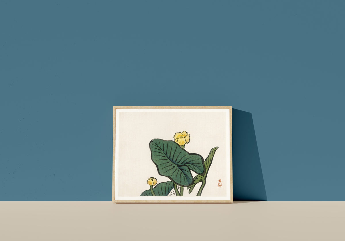 Framed art print of Water-lily (Bairei Gakan) by Kōno Bairei, in a light wood frame leaning on a blue wall
