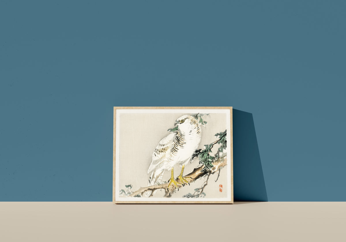 Framed art print of White Hawk on an Evergreen Branch by Kōno Bairei, in a light wood frame leaning on a blue wall