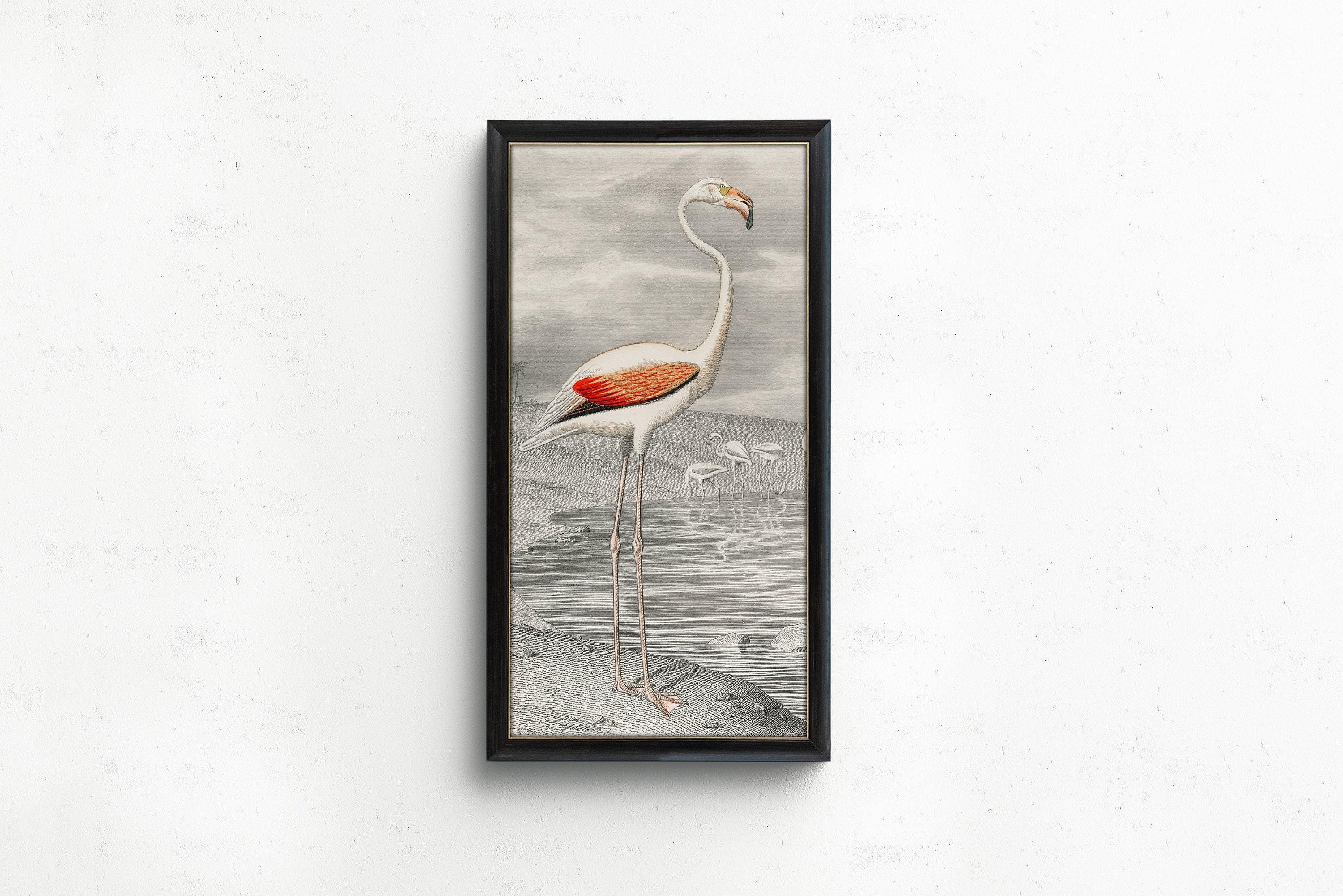 Le Flammant (Flamingo) by Edouard Travies (1853) | Vintage Narrow Tall Vertical Bird Art (available handframed or unframed) 2x1 - 9ArtPrints