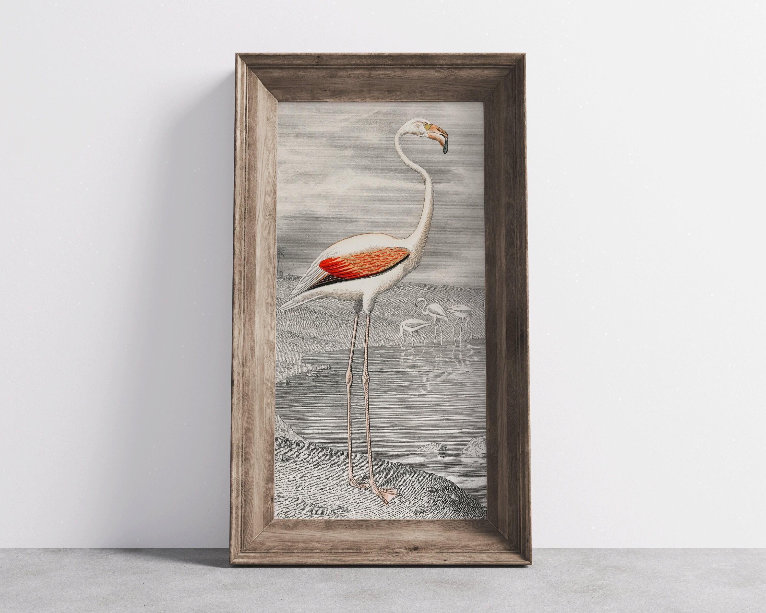 Le Flammant (Flamingo) by Edouard Travies (1853) | Vintage Narrow Tall Vertical Bird Art (available handframed or unframed) 2x1 - 9ArtPrints