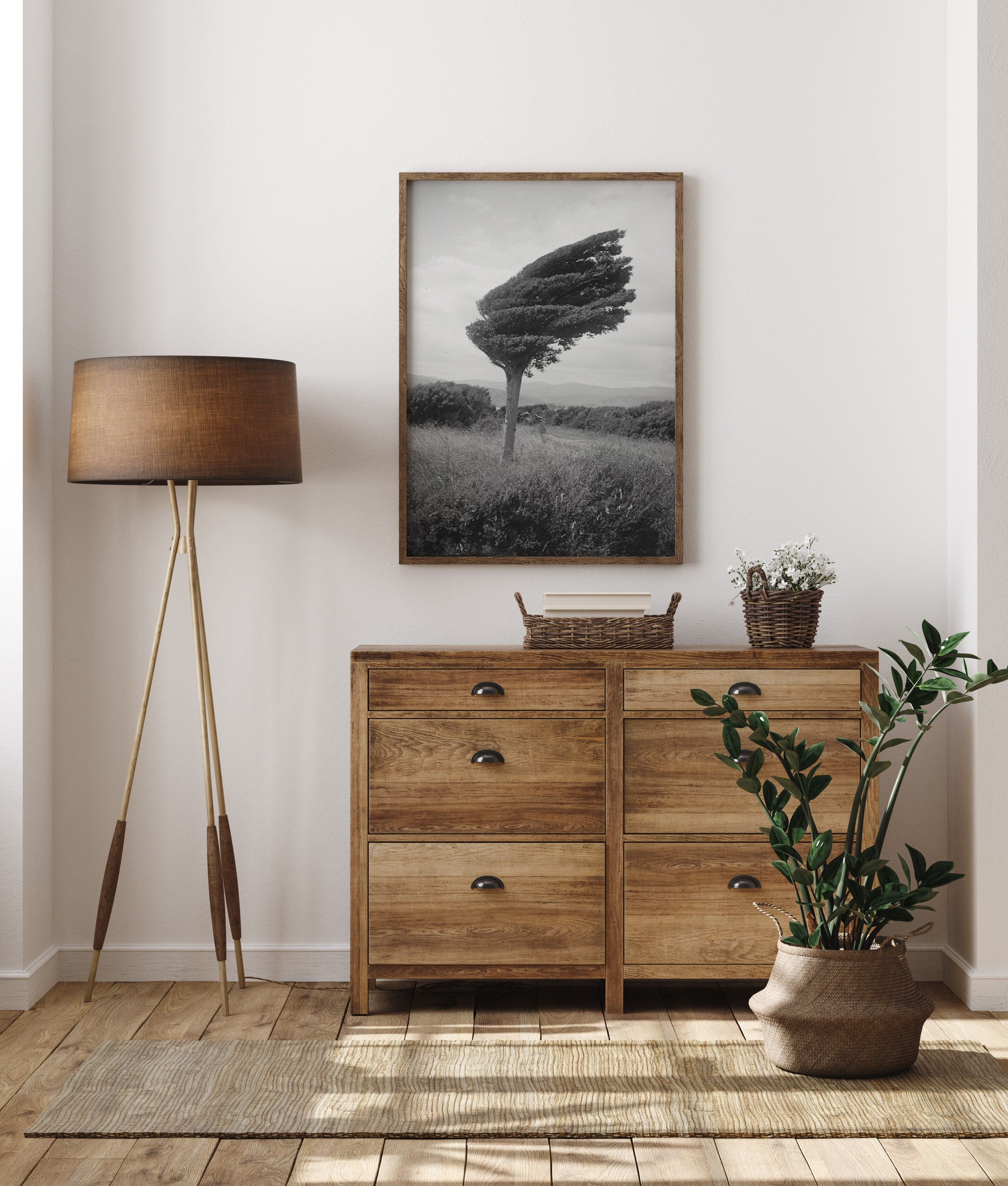 Leslie Adkin - Small Totara Tree (Photograph - New Zealand, 1920) - 9ArtPrints