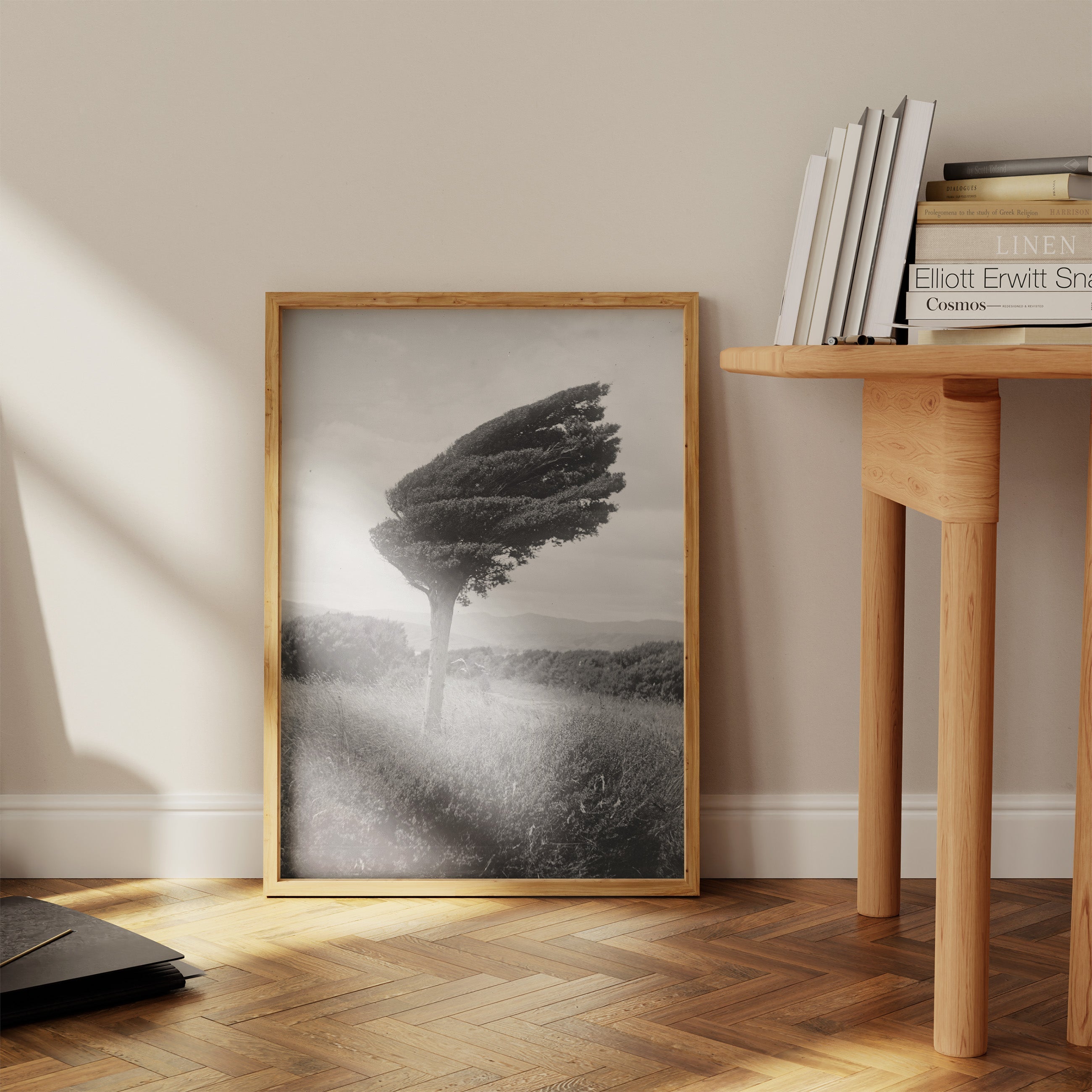 Leslie Adkin - Small Totara Tree (Photograph - New Zealand, 1920) - 9ArtPrints