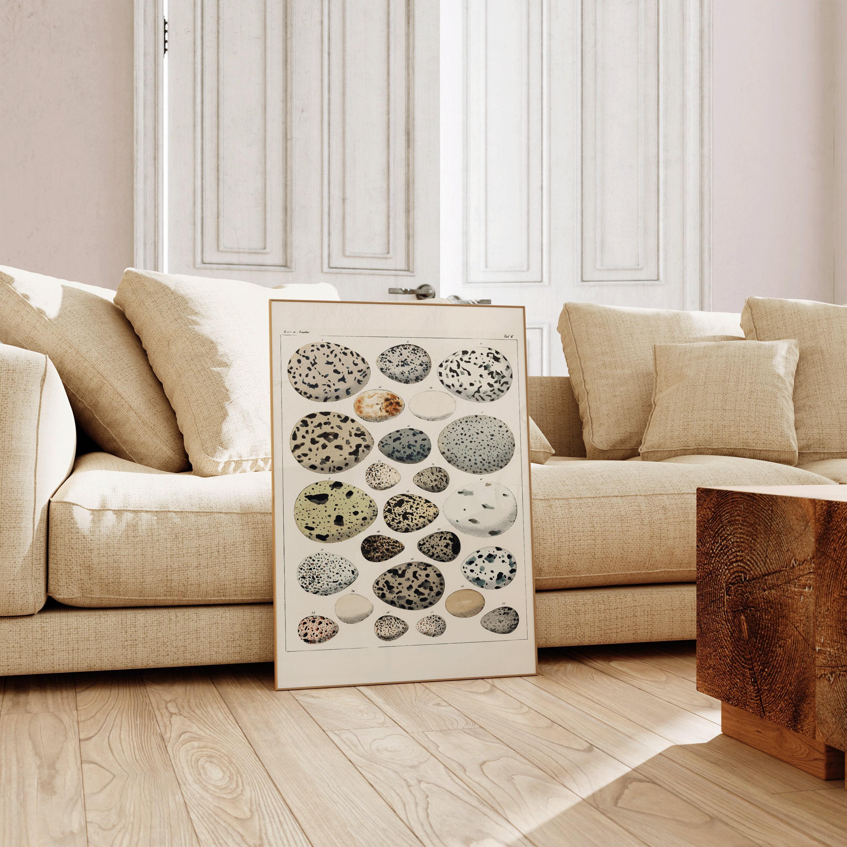 Lorenz Okens - Bird Eggs | Vintage Naturalist Poster (available handframed or unframed) - 9ArtPrints