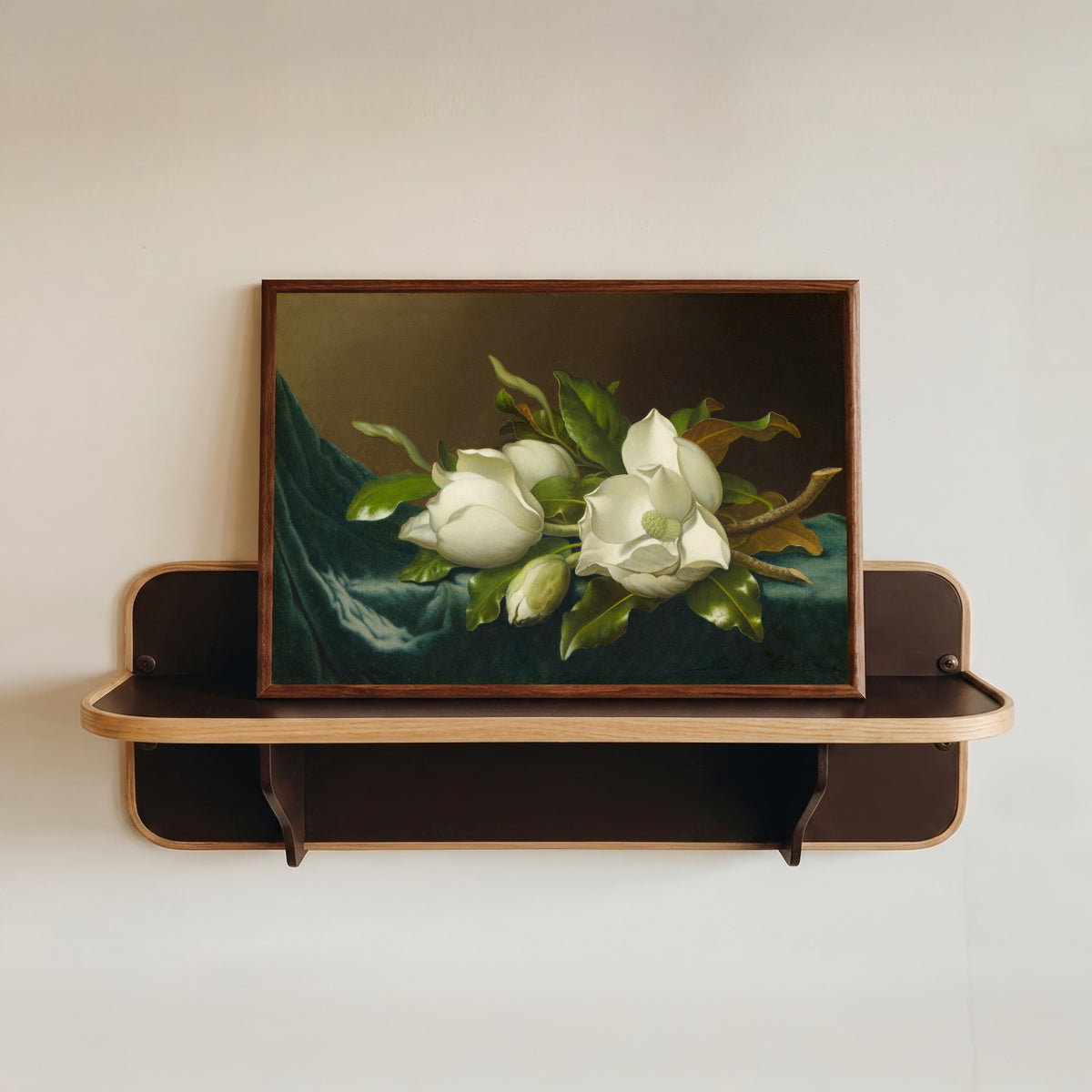 Framed art print of Magnolias on Light Blue Velvet Cloth by Martin Johnson Heade, in a dark wood frame resting on a wall shelf