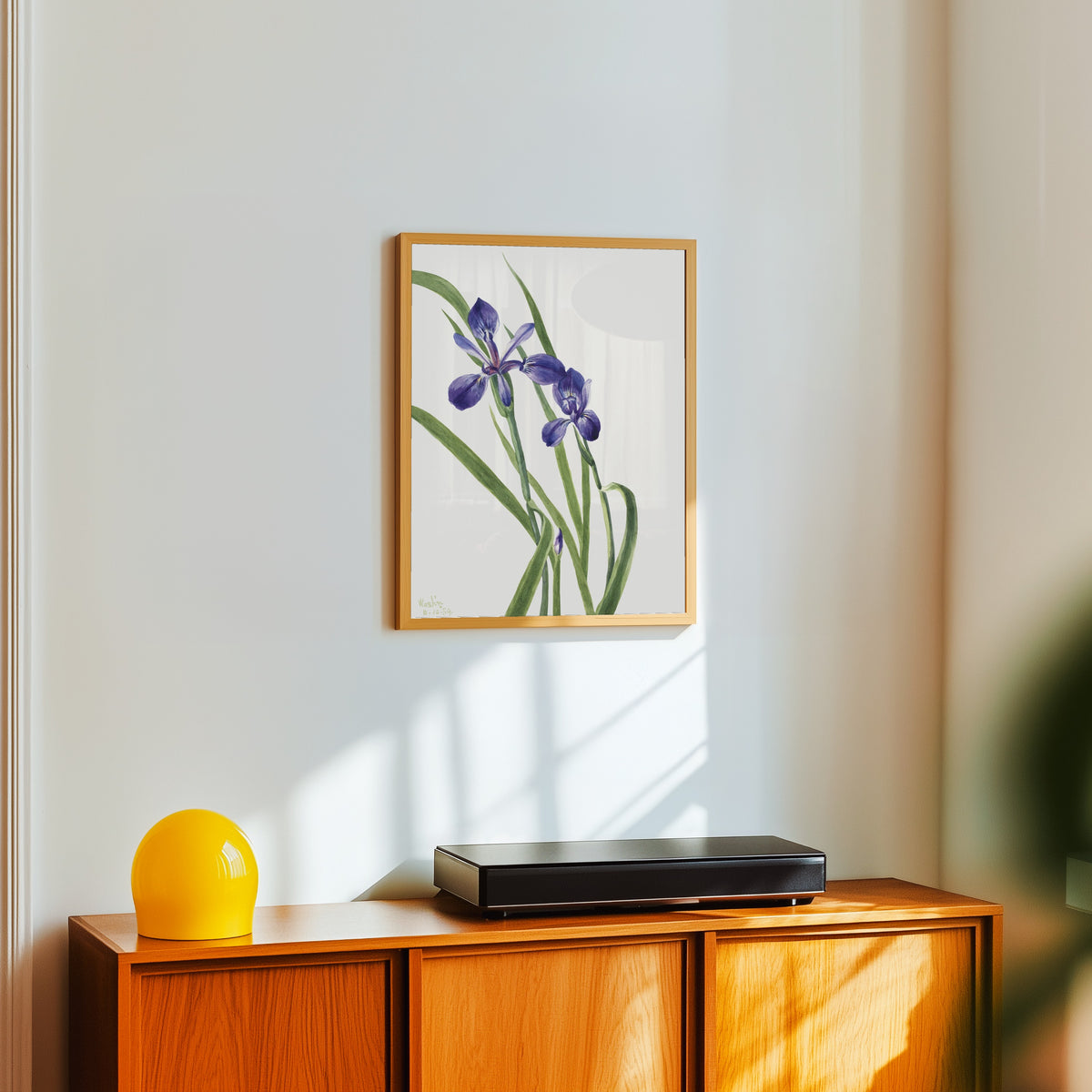 Framed art print of Iris (Iris species) by Mary Vaux Walcott, in a light wood frame on a white wall above an orange sideboard