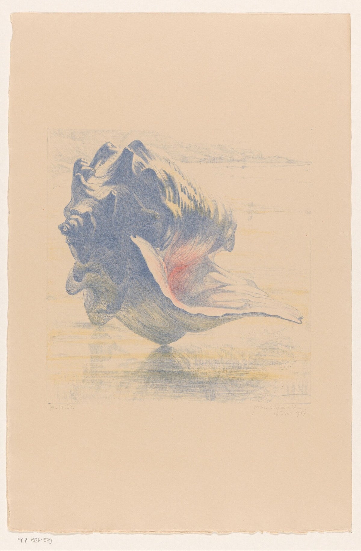 Maurits van der Valk — Seashells | Fine Art Print - 9ArtPrints