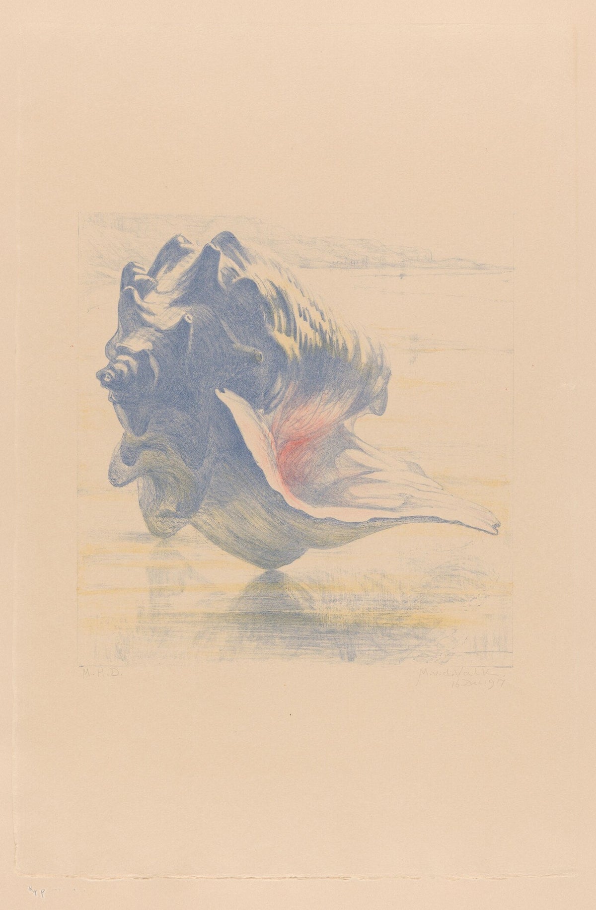 Maurits van der Valk — Seashells | Fine Art Print - 9ArtPrints