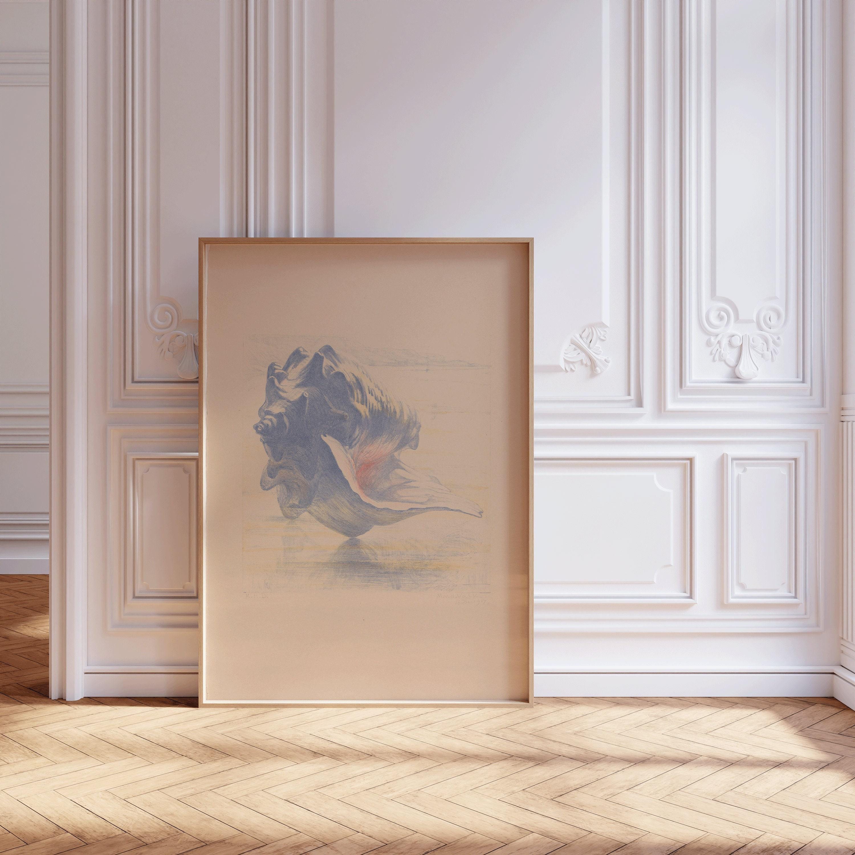 Maurits van der Valk - Shell Sketch | Famous Seashell Art in Beige and Blue