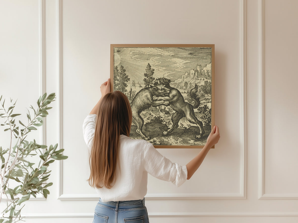 Framed art print of Atalanta Fugiens, Emblem 47: A Wolf Coming from the East and a Dog from the West Bit One Another by Michael Maier, hung on a panelled wall