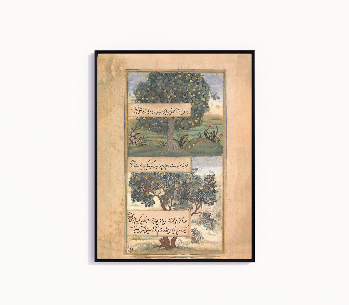 Framed art print of Three Trees of India, in a slim black frame on a plain white wall