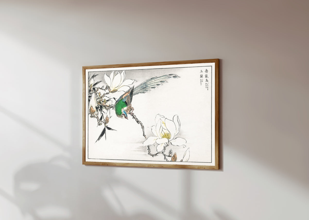 Framed art print of Asian Paradise Flycatcher and White Magnolia by Numata Kashū, in a light wood frame on a sunlit white wall, seen at a slight angle